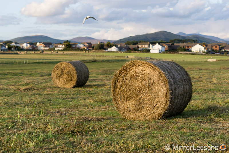 sony-a6000 sample image