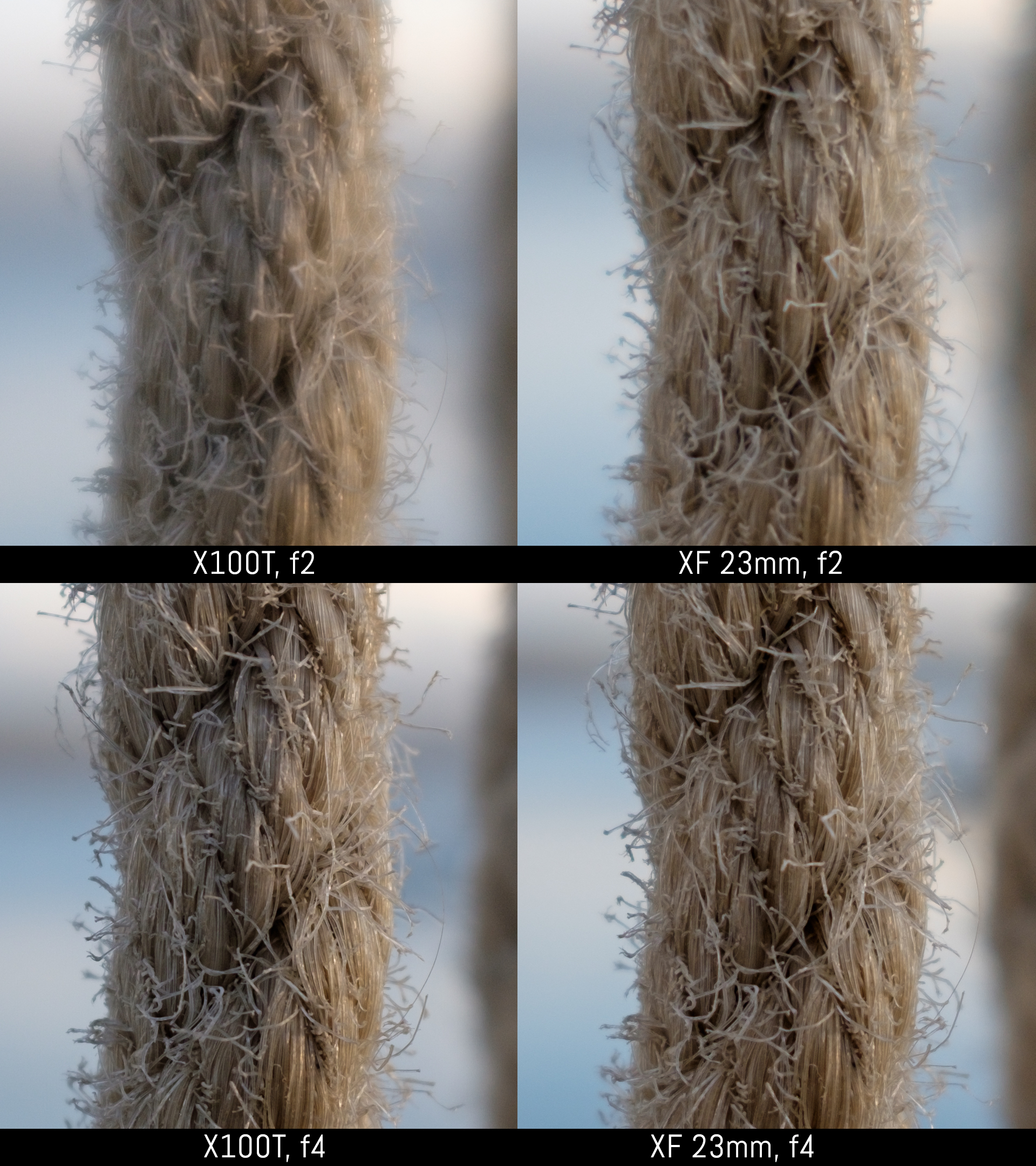 Fujifilm-X100T-vs-23mm-f2-sharpness-crop-4.jpg