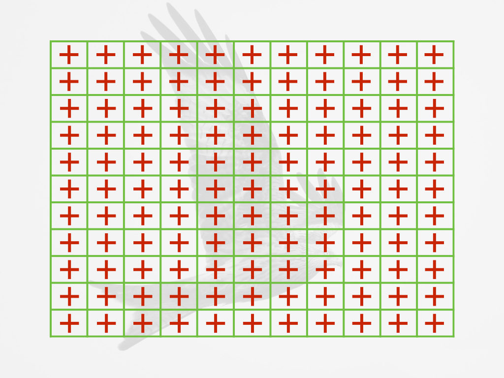 graphic showing the 121 autofocus points of Olympus cameras