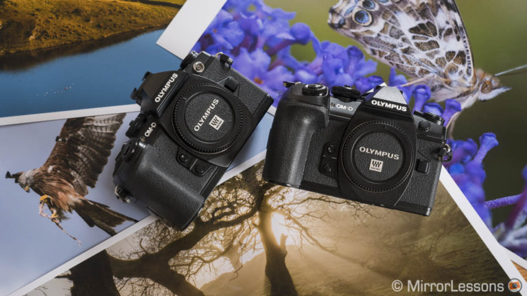 The 10 Main Differences Between the Olympus OM-D E-M1 vs E-M1 Mark II ...