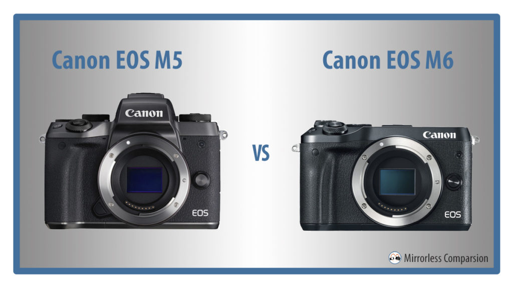 canon eos m5 vs m6 featured