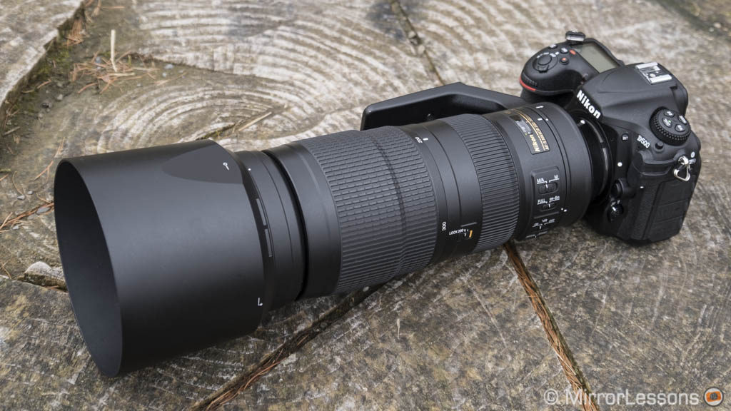 nikon d500 best lens for wildlife