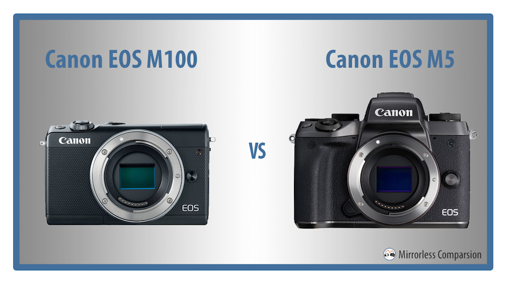 canon eos m100 vs m5