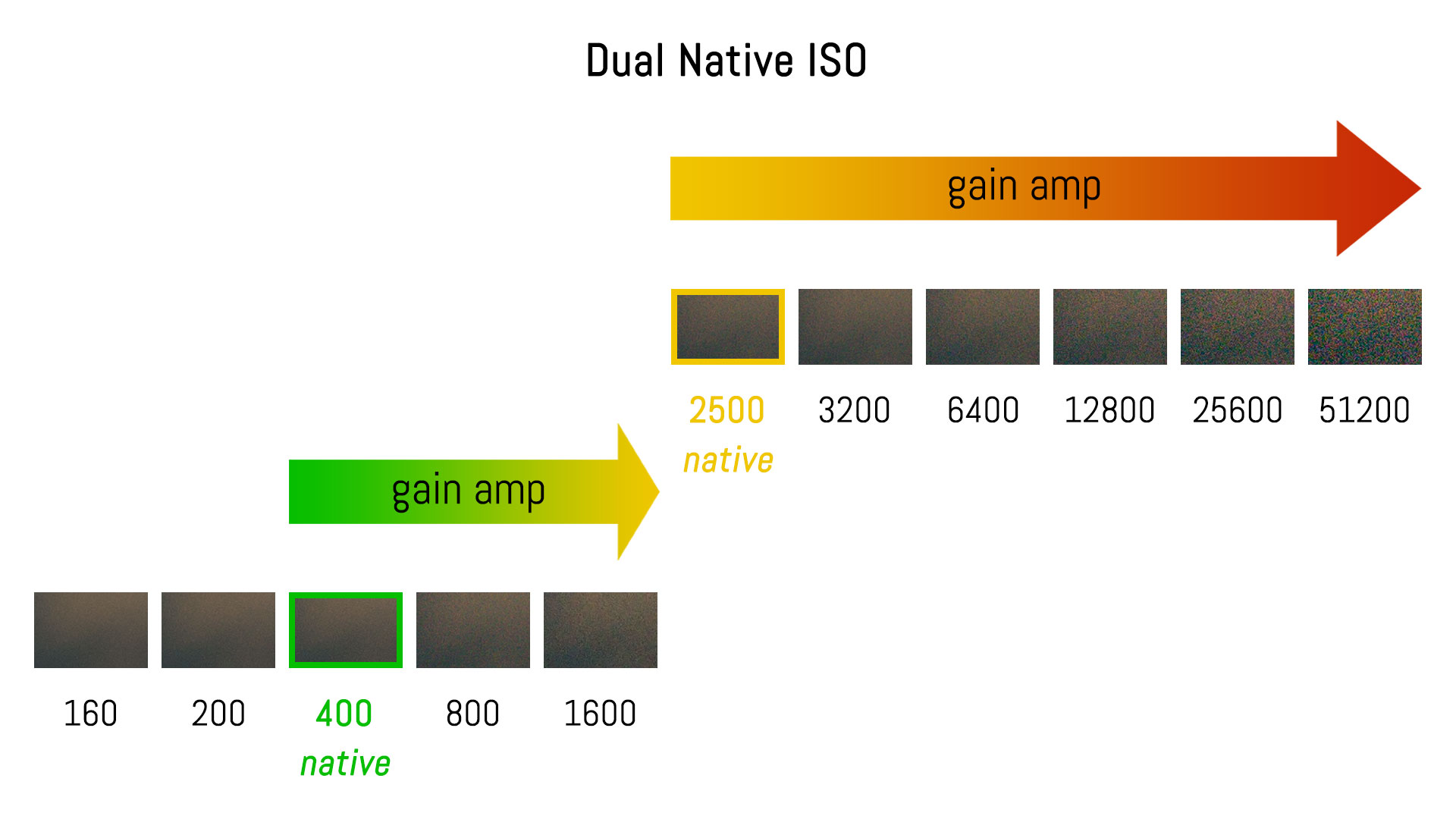 dual native iso