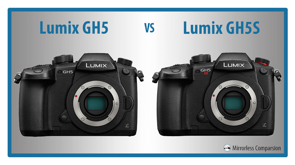 vlinder Graveren Verbazingwekkend The 10 Main Differences Between the Panasonic Lumix GH5 and GH5S -  Mirrorless Comparison