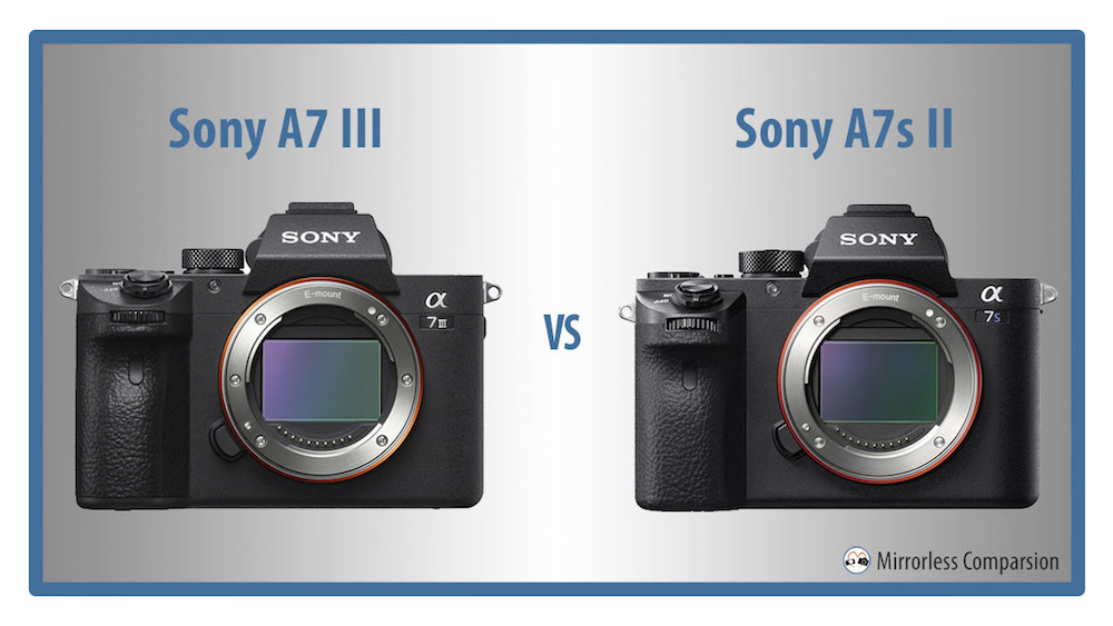 sony a7s iii weight