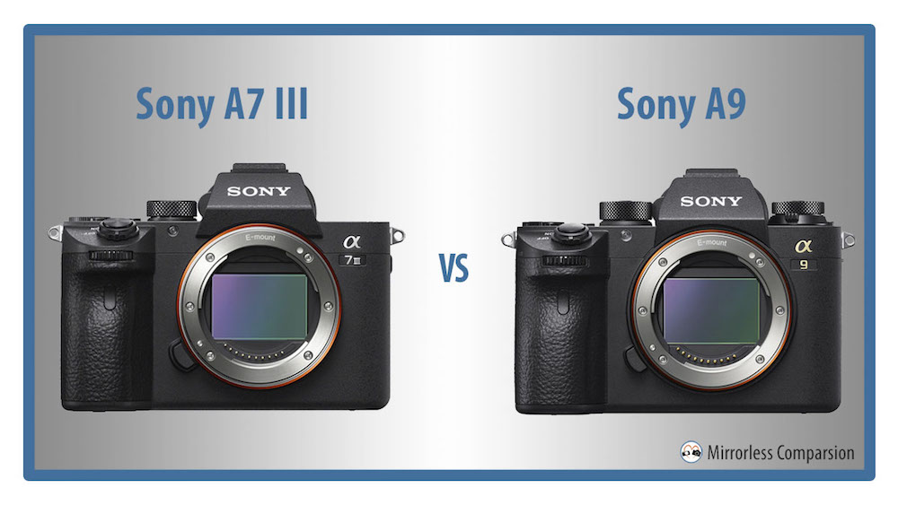 Sony A7 III vs A9 - The 10 Main Differences Mirrorless Comparison