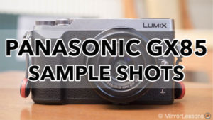 lumix gx85 sample images