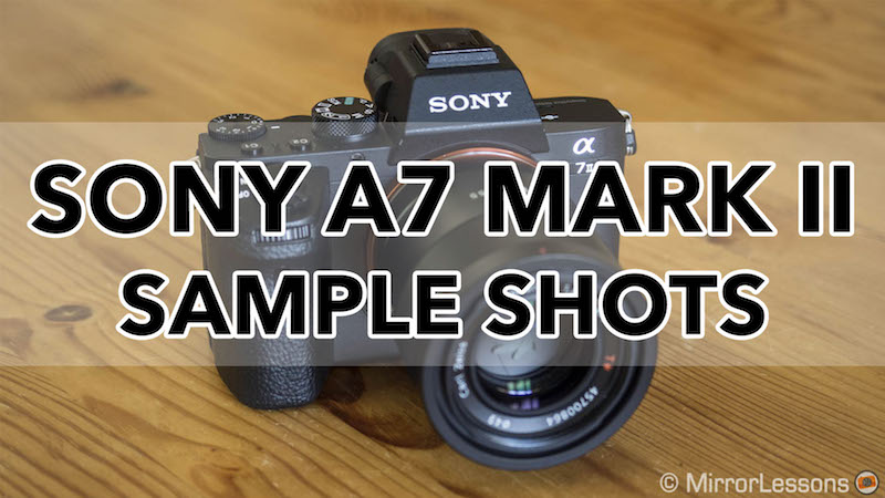 Gallery Of Sony A7 Ii Photo Samples Raw Sooc Jpgs