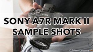 sony a7rii sample images