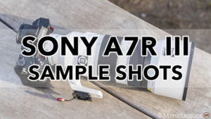 sony a7riii sample images