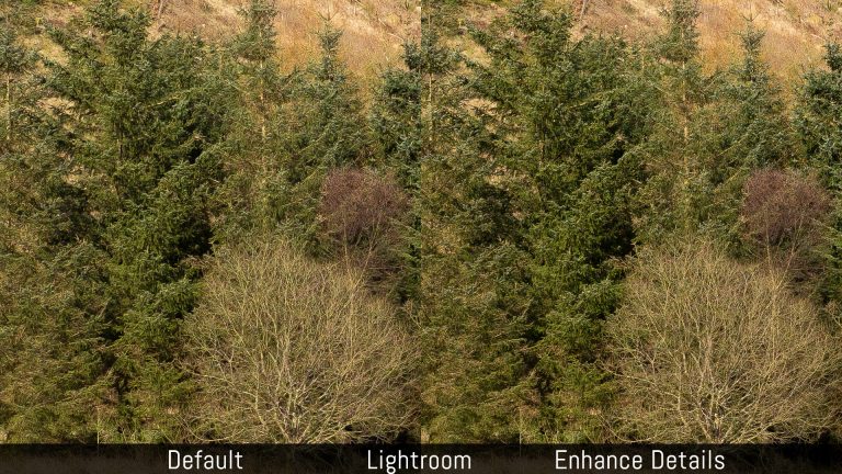 iridient developer vs capture one iridient developer vs capture one
