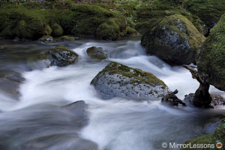 water stream with rocks and vegetation