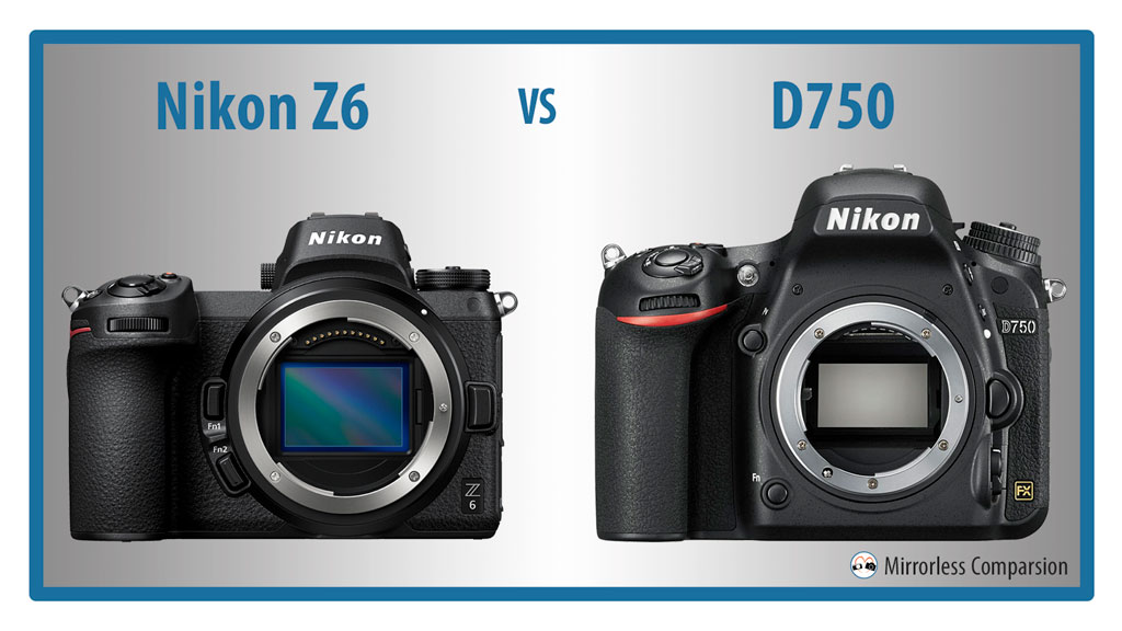 Nikon Z6 Vs D750 The 10 Main Differences Mirrorless Comparison