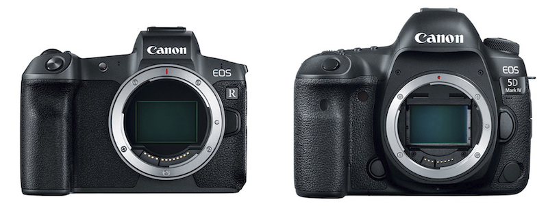 Canon EOS R vs 5D mark IV - The 10 Main Differences - Mirrorless 