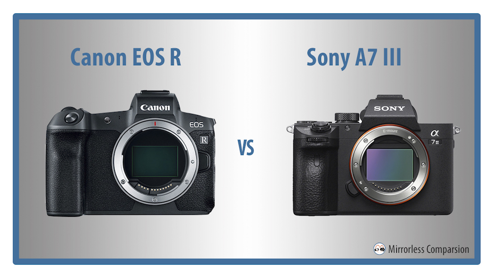 Canon EOS R vs A7 III The 10 Main Differences - Mirrorless Comparison