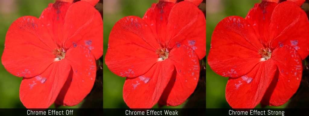 Visual comparison between Chrome Effect Off, Chrome Effect Weak and Chrome Effect Strong using a red flower.