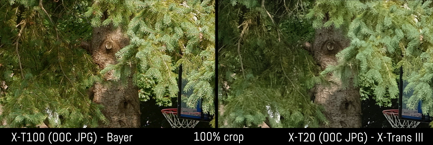 xt100 vs xt20 bayer xtrans 100% crop jpg