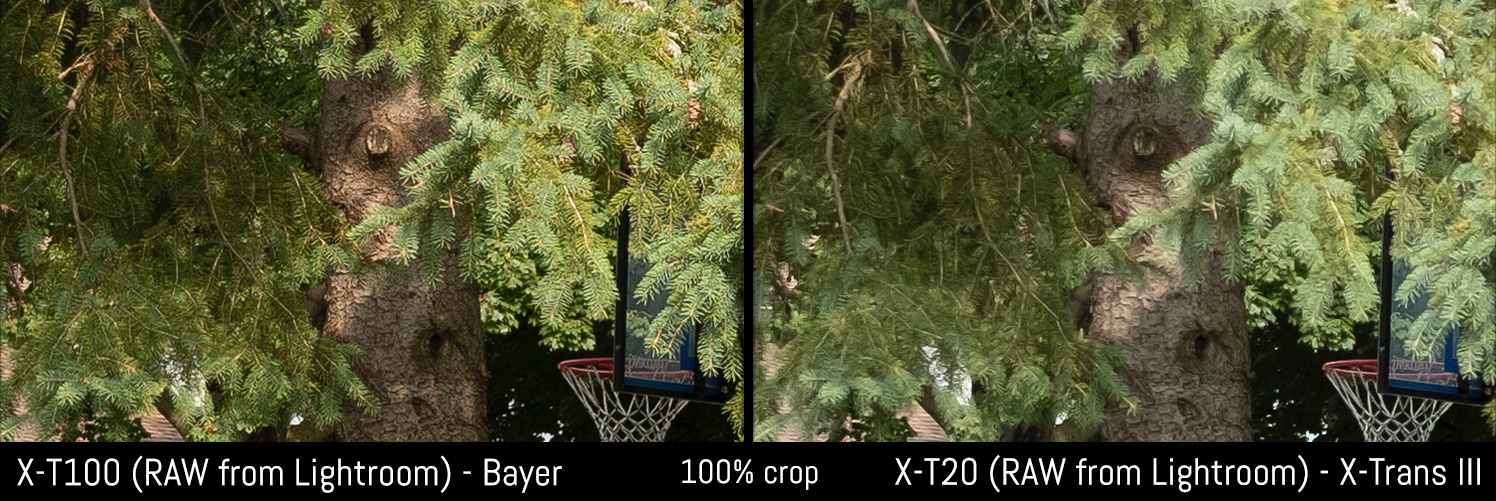 xt100 vs xt20 bayer xtrans 100% crop raw lr