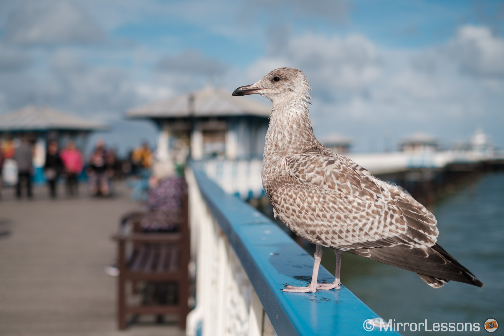 Fujifilm xt3 фотографии с него