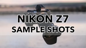 nikon z7 sample images