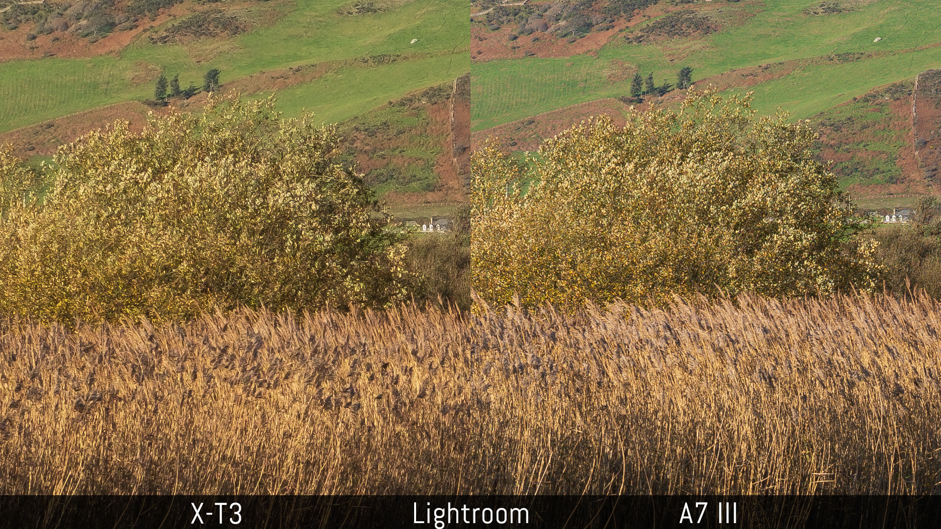 metaal vervagen Zeg opzij Fujifilm X-T3 vs Sony A7 III - Five key points analysed - Mirrorless  Comparison