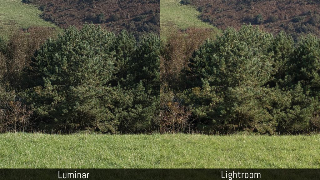 luminar dam vs lightroom