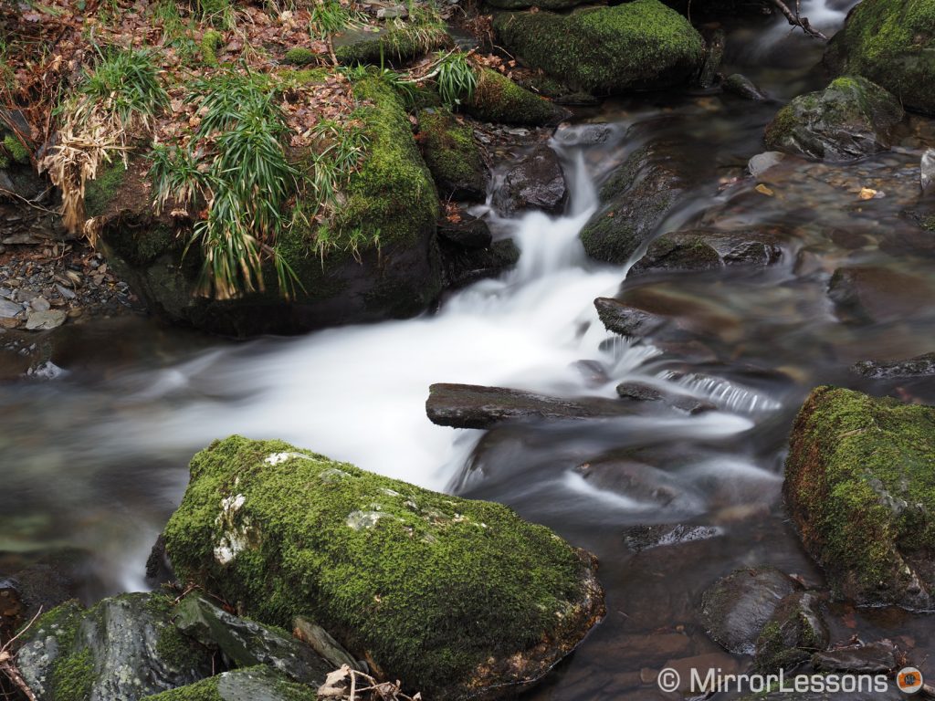 stream of water in the woods