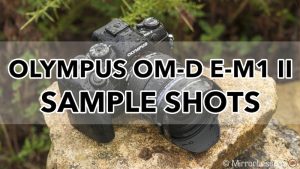 olympus omd em1 mark ii sample images