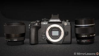 sigma 56mm vs olympus 75mm product shots-4 copy