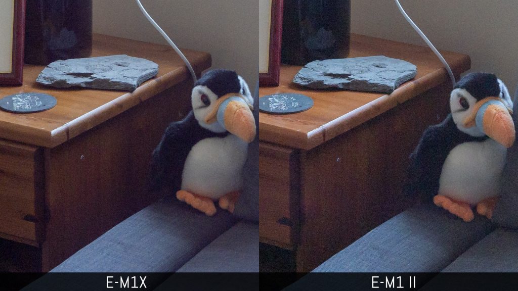 Two images comparing the shadow recovery of the E-M1X and E-M1 II