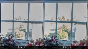 Olympus OM-D E-M1 II vs E-M1 III - The 10 Main Differences (Extended ...