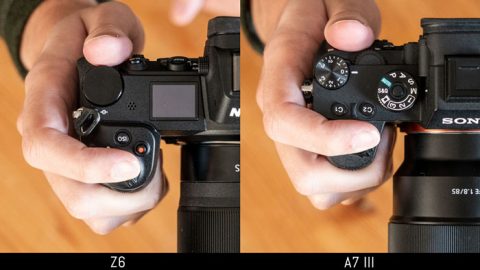 Nikon Z6 vs Sony A7 III - The complete comparison - Mirrorless Comparison