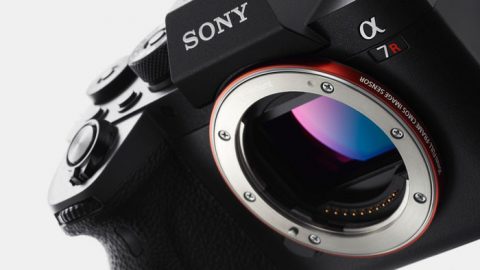 Sony A7 IV vs A7R IV (A7R IVA) - The 10 Main Differences - Mirrorless ...