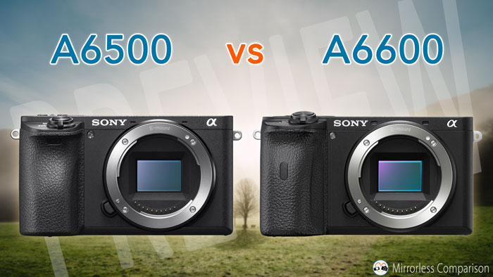 legeplads besejret Borgmester Sony A6500 vs A6600 - The 10 main differences - Mirrorless Comparison