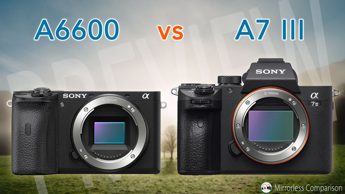 Sony A6600 Vs A7 Iii The 10 Main Differences