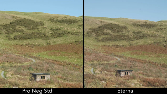 Side by side images comparing Pro Neg Standard and Eterna