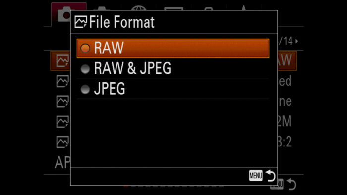 sony a7 iii raw vs jpg