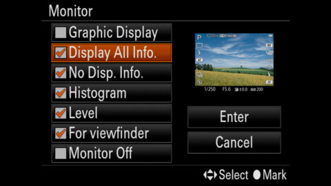 Sony A7 III, A7R III, A9 Viewfinder and Display Settings - Mirrorless ...