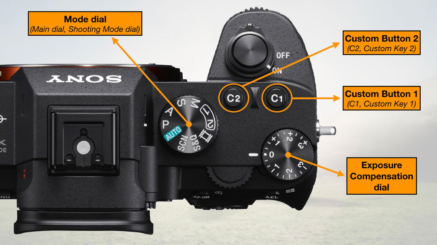 botanist tvilling TVsæt Sony A7 III, A7R III, A9 Menu and Button Set-up Guide - Mirrorless  Comparison