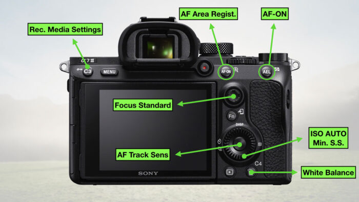 sony a7 iii settings for sports