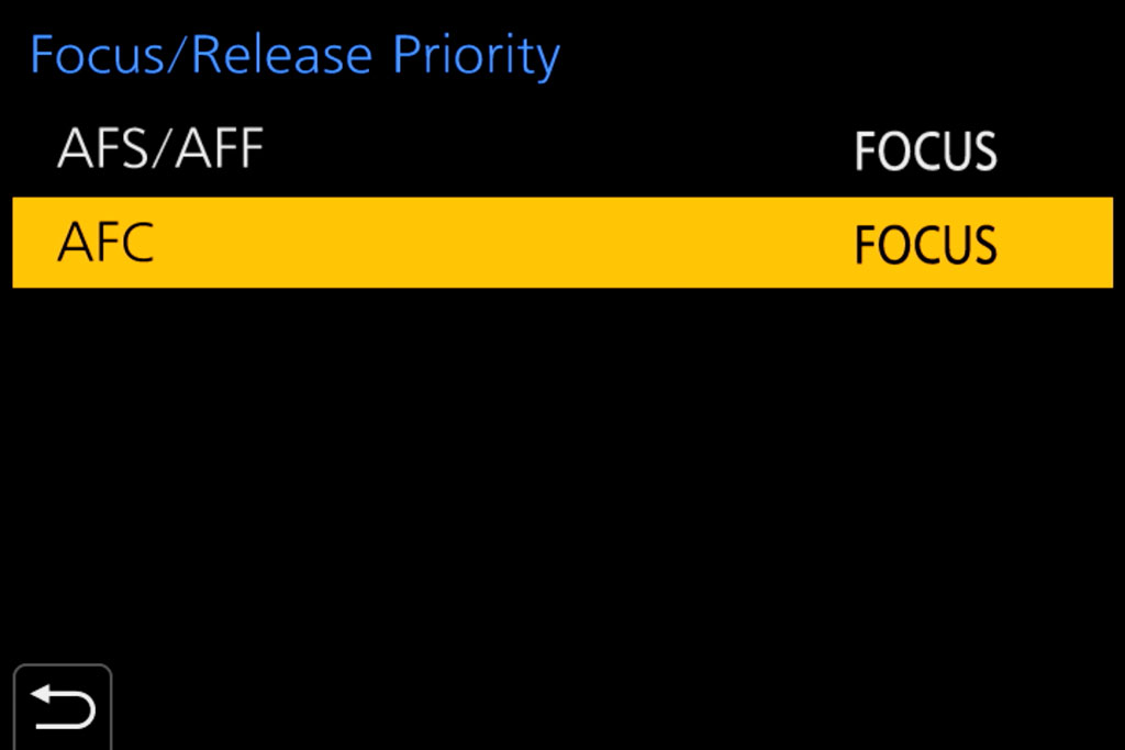Panasonic G9, Birds in Flight and Firmware 2.0 Mirrorless Comparison