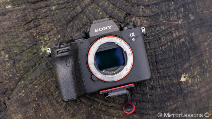 Sony A9 II on a old log, front view with sensor cap off and tripod plate attached
