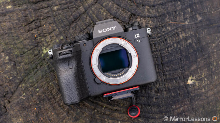 mirrorless camera for wildlife