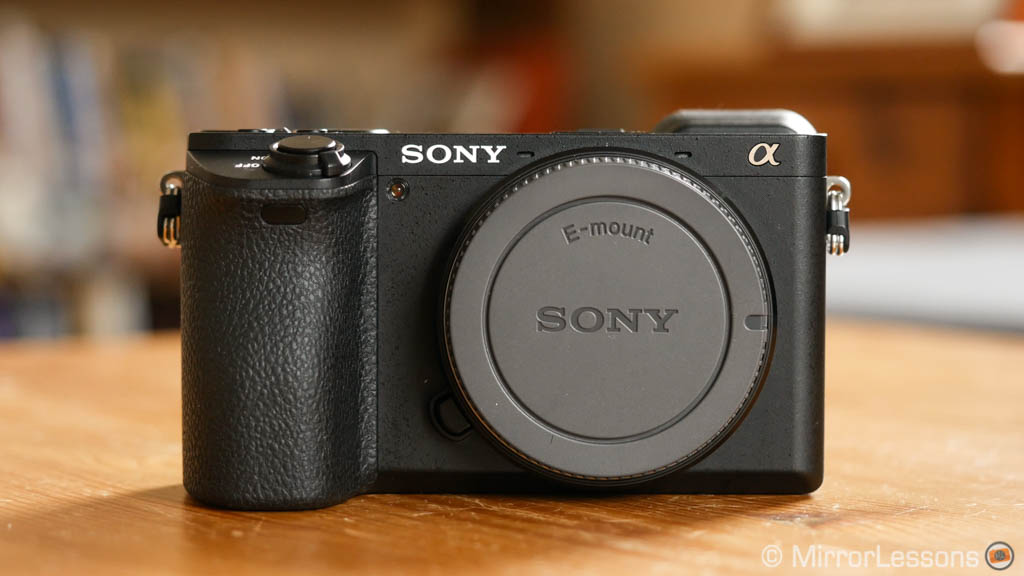 The Best Mirrorless Cameras for Birds in Flight Ranked