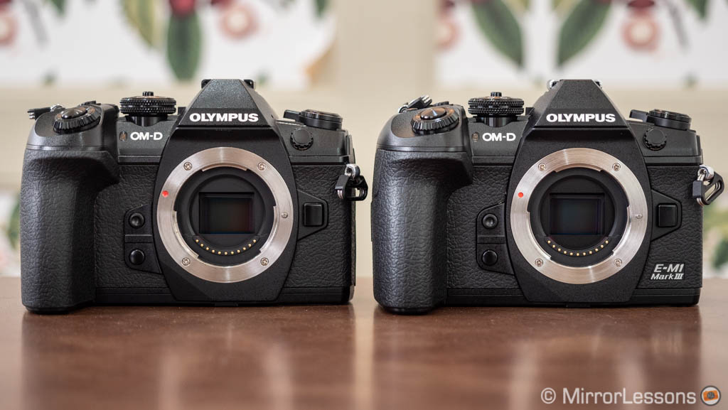 Olympus OM-D E-M1 II vs E-M1 III - The 10 Main Differences (Extended ...