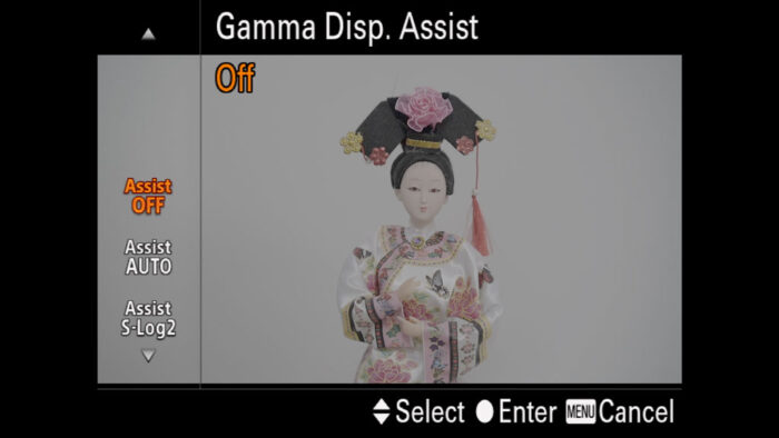 The Gamma Display Assist menu with Assist set to Off