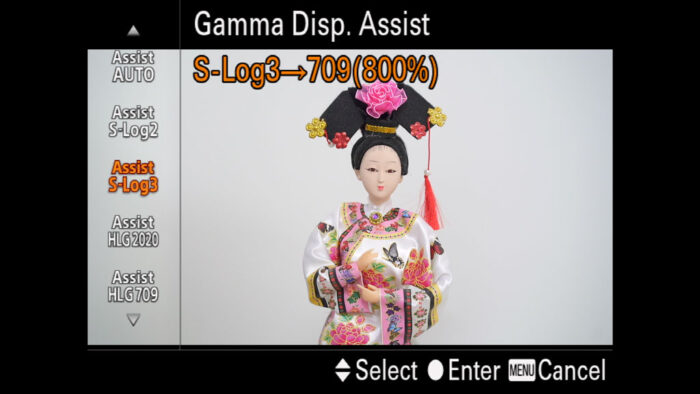 The Gamma Display Assist menu with Assist set to SLog3