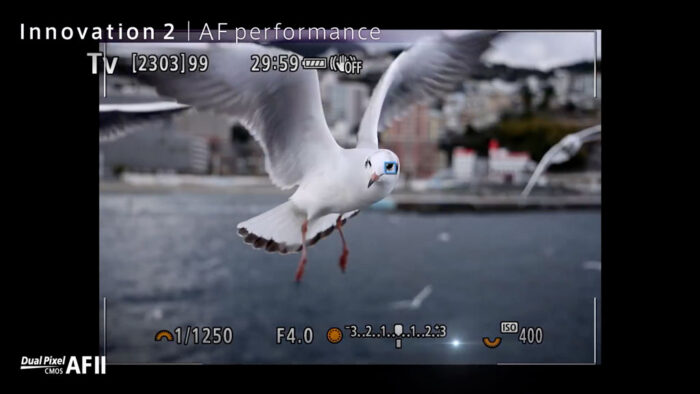 live view screen with autofocus point on bird's eye