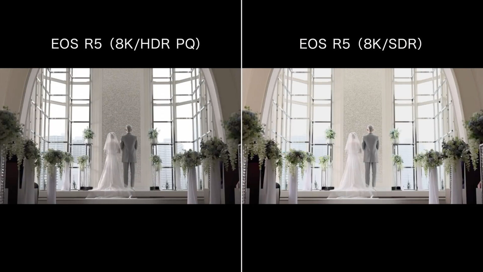 Canon EOS R5 vs R6 The 10 Main Differences Mirrorless Comparison